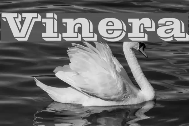 Vinera Font examples