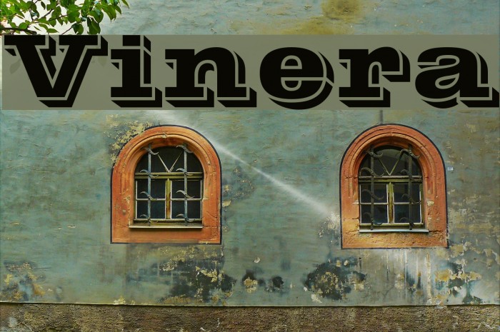 Vinera Polices examples