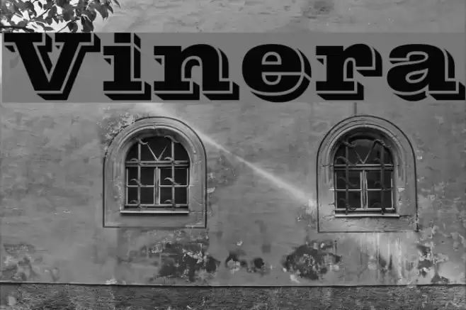 Vinera Font examples