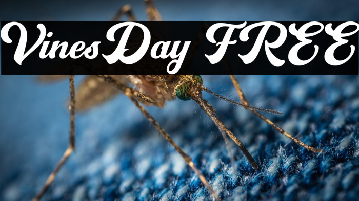 VinesDay FREE Example 1