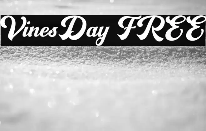 VinesDay FREE Font examples