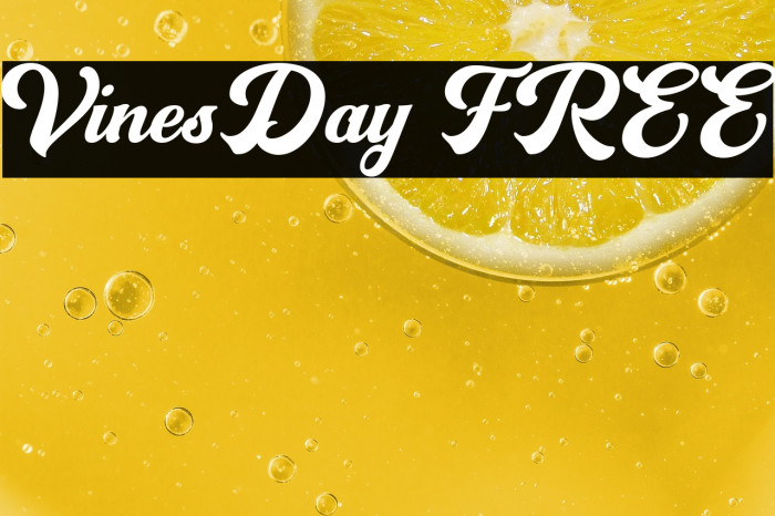 VinesDay FREE Example 3