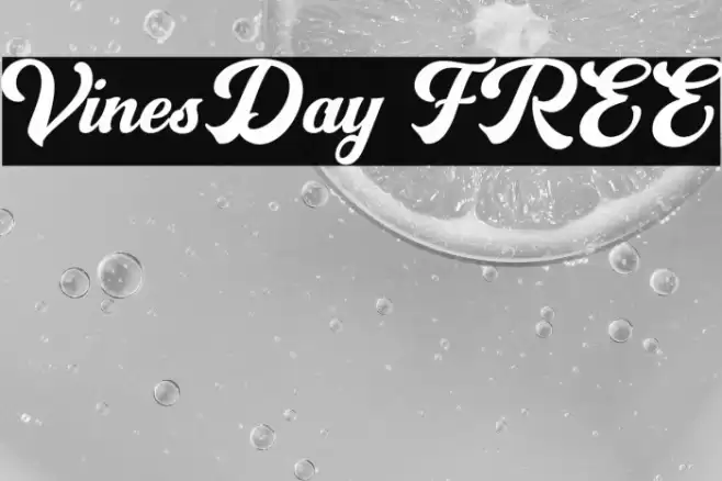 VinesDay FREE Font examples