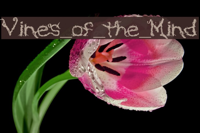 Vines_of_the_Mind Example 3