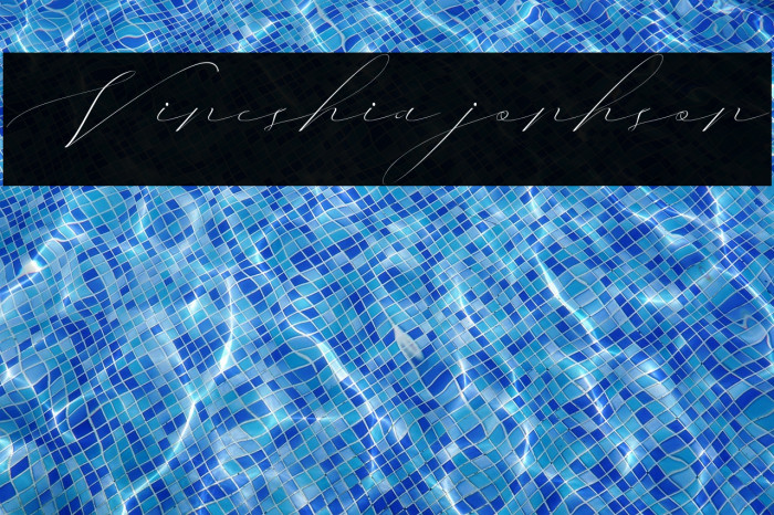 Vineshia jonhson Example 3