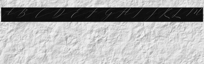 Vineshiajonhson Example 3