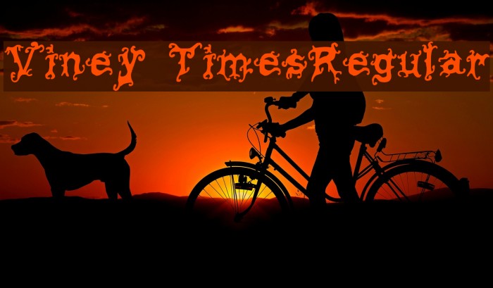 Viney TimesRegular Font examples