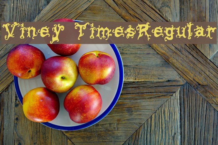 Viney TimesRegular Font examples