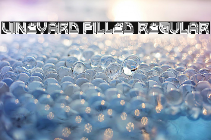 Vineyard Filled Regular Example 3