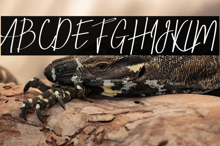 Ving Smith Example 3