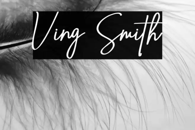 Ving Smith Font examples