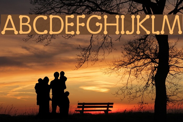 Vingy Normal Font examples