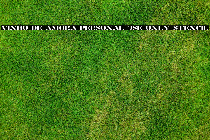 Vinho De Amora PERSONAL USE ONLY Stencil Example 3