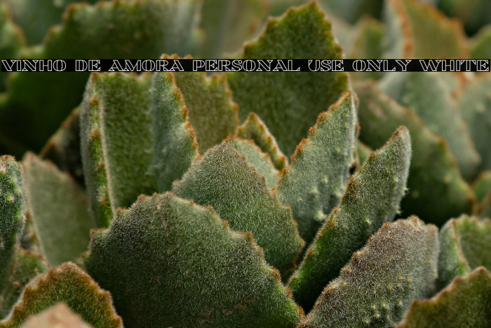 Vinho De Amora PERSONAL USE ONLY White Example 1