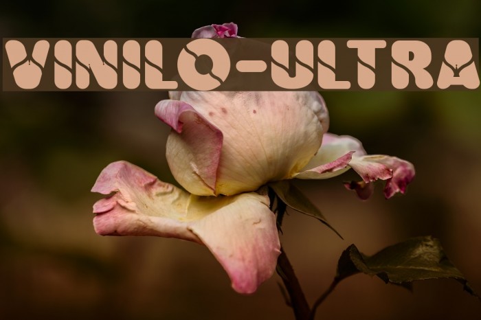 Vinilo-Ultra Font examples
