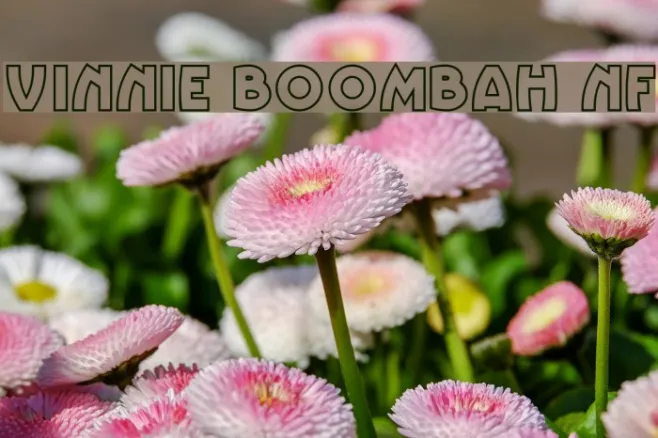 Vinnie BoomBah NF Example 1