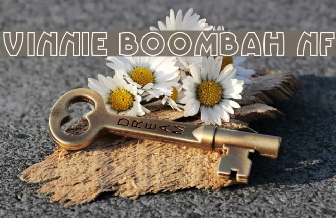 Vinnie BoomBah NF Example 2