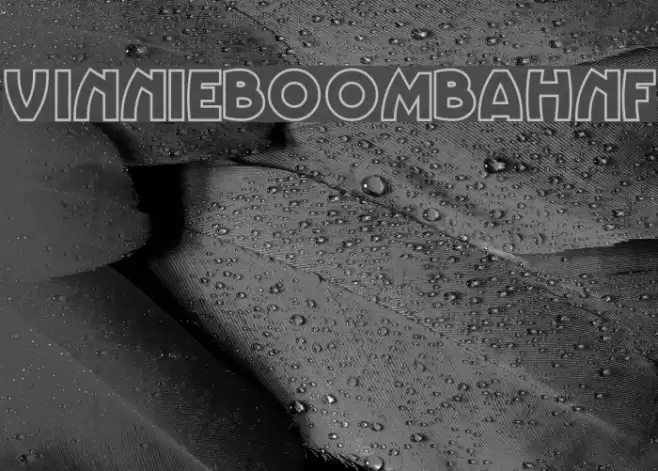 VinnieBoomBahNF フォント examples