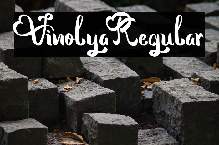 Vinolya-Regular Example 1