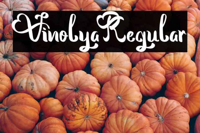 Vinolya-Regular Example 3