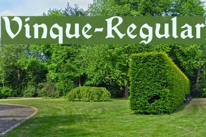 Vinque-Regular Font examples
