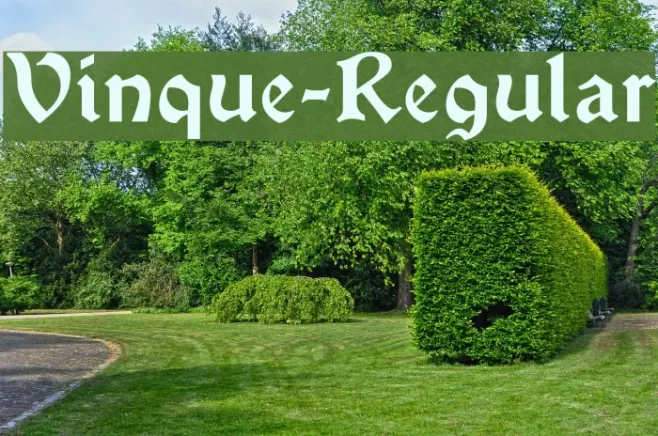 Vinque-Regular Example 3