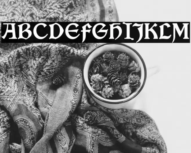 VinqueRg-Regular Font examples