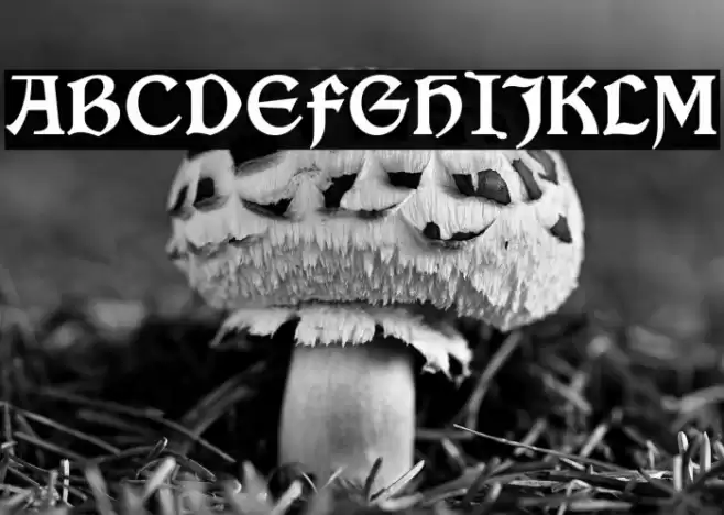 VinqueRg-Regular Font examples