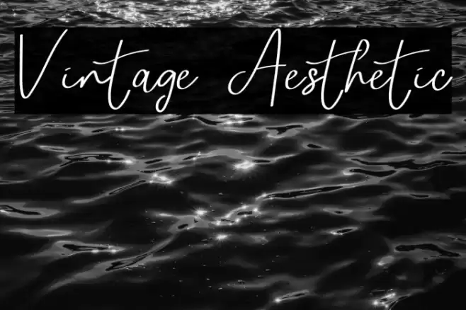 Vintage Aesthetic Font examples