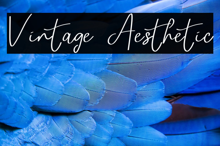 Vintage Aesthetic Example 2