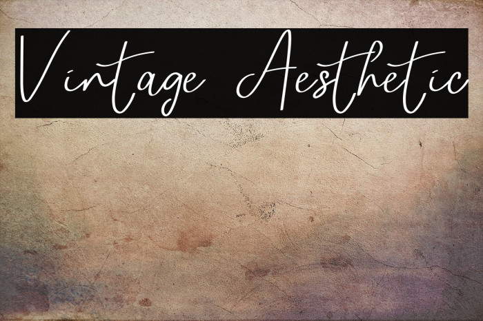 Vintage Aesthetic Example 3