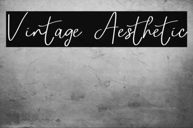 Vintage Aesthetic Font examples