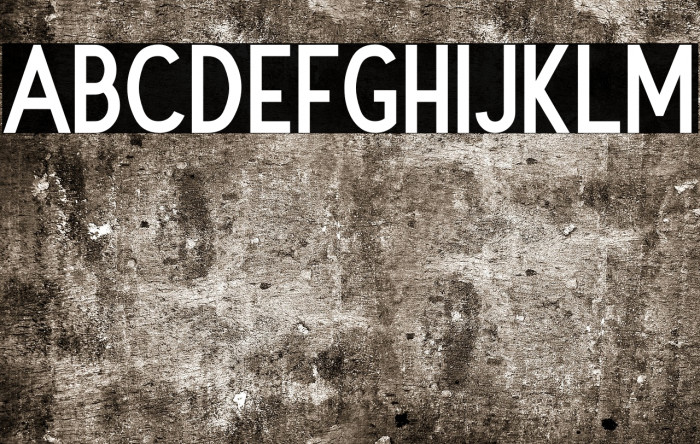 Vintage Avalanche Black Example 1