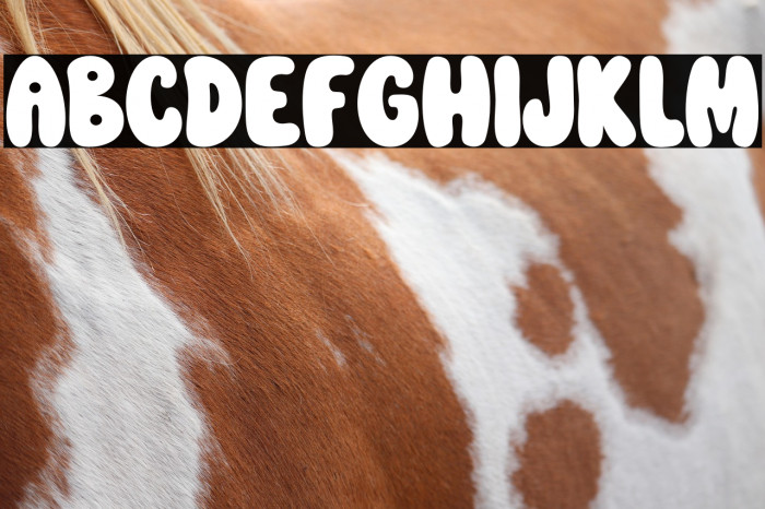 Vintage Avocado Example 3