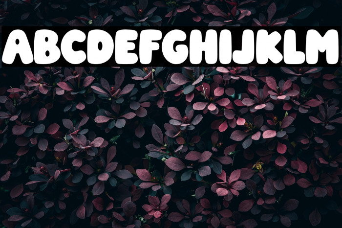 Vintage Charm Example 3