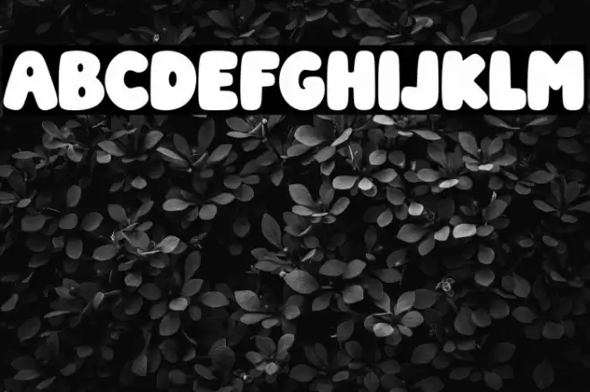 Vintage Charm フォント examples