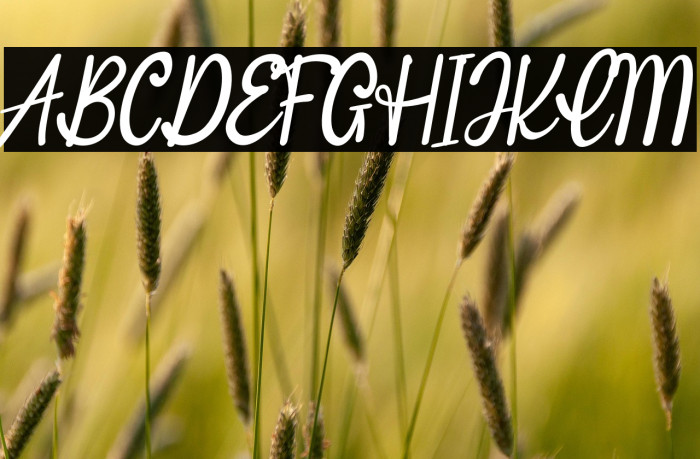 Vintage Clothes Example 3