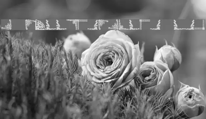 Vintage Decorative Corners 10 Font examples