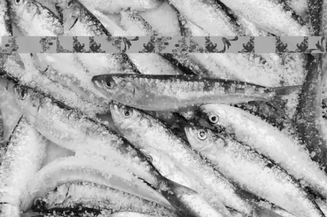 Vintage Decorative Corners 14 Polices examples