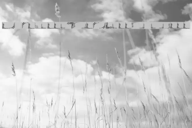 Vintage Decorative Corners 23 Font examples