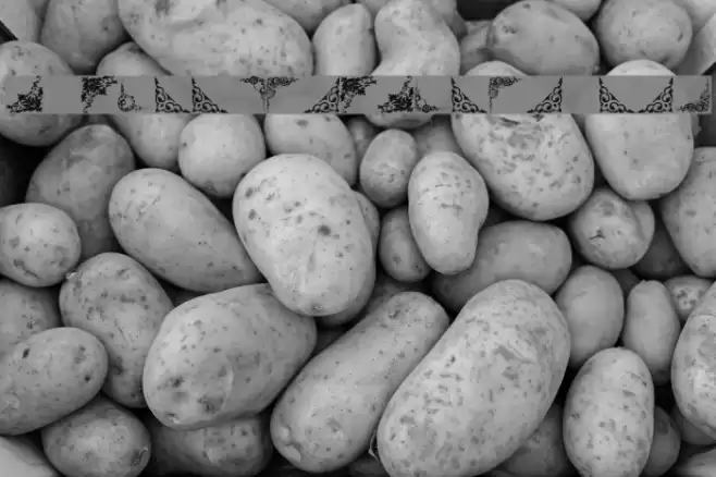 Vintage Decorative Corners 24 Font examples