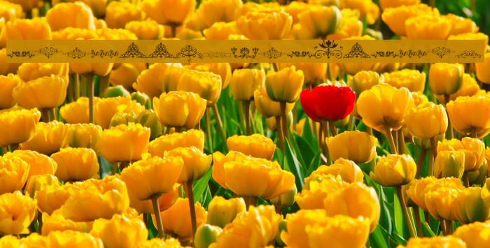 Vintage Decorative Signs 17 لخطوط تنزيل examples
