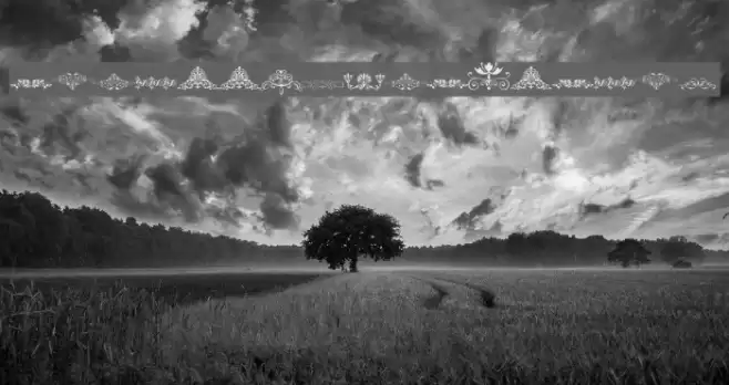 Vintage Decorative Signs 17 Font examples