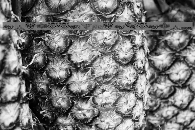 Vintage Decorative Signs 19 Font examples