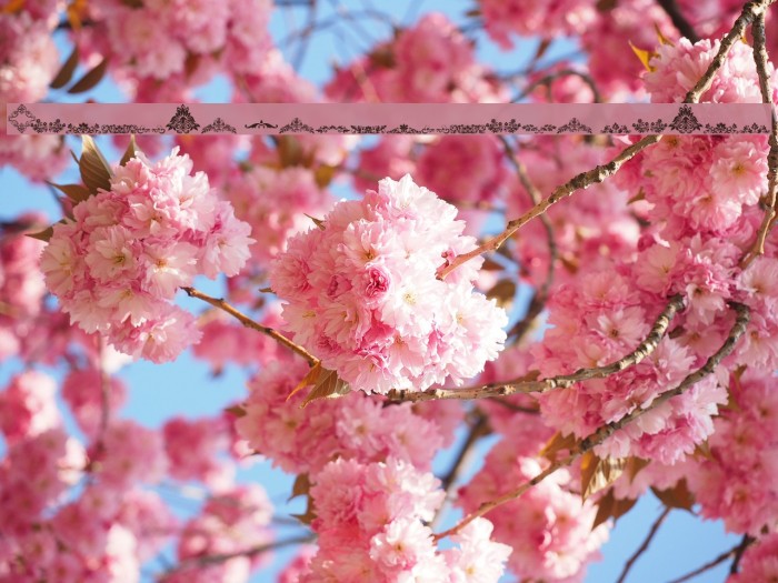 Vintage Decorative signs Example 2