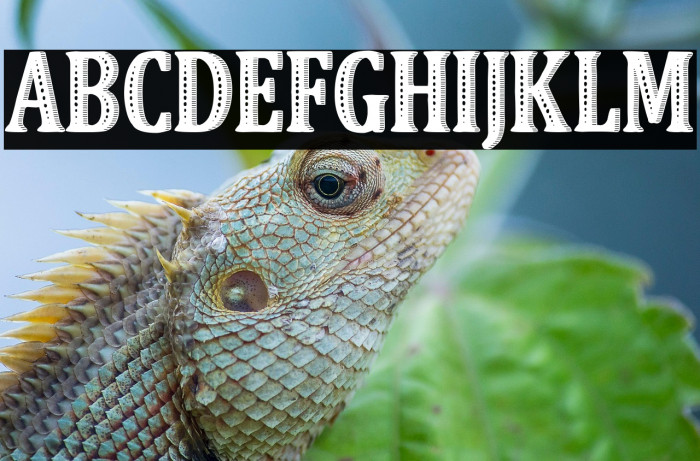 Vintage Faith Example 1