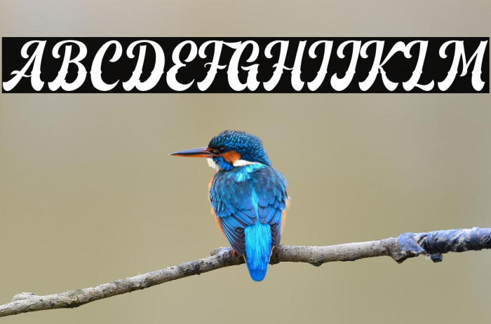 Vintage Feeling Personal Use Example 1