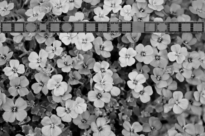 Vintage Frames 11 Font examples