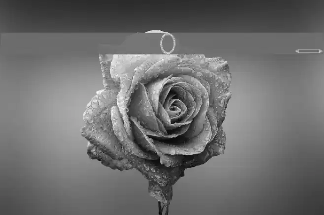 Vintage Frames 2 Font examples