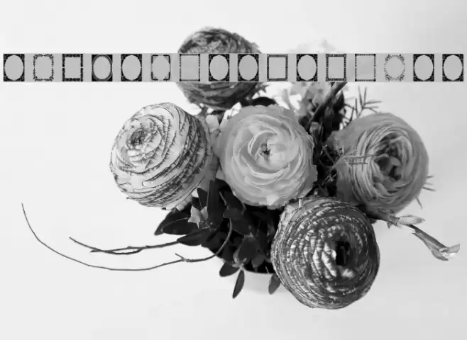 Vintage Frames 7 Font examples